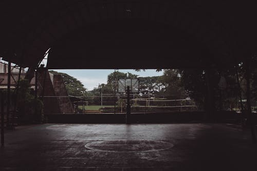 Foto profissional grátis de árvores, basquete, cidade