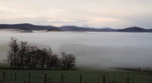 Campo De Niebla