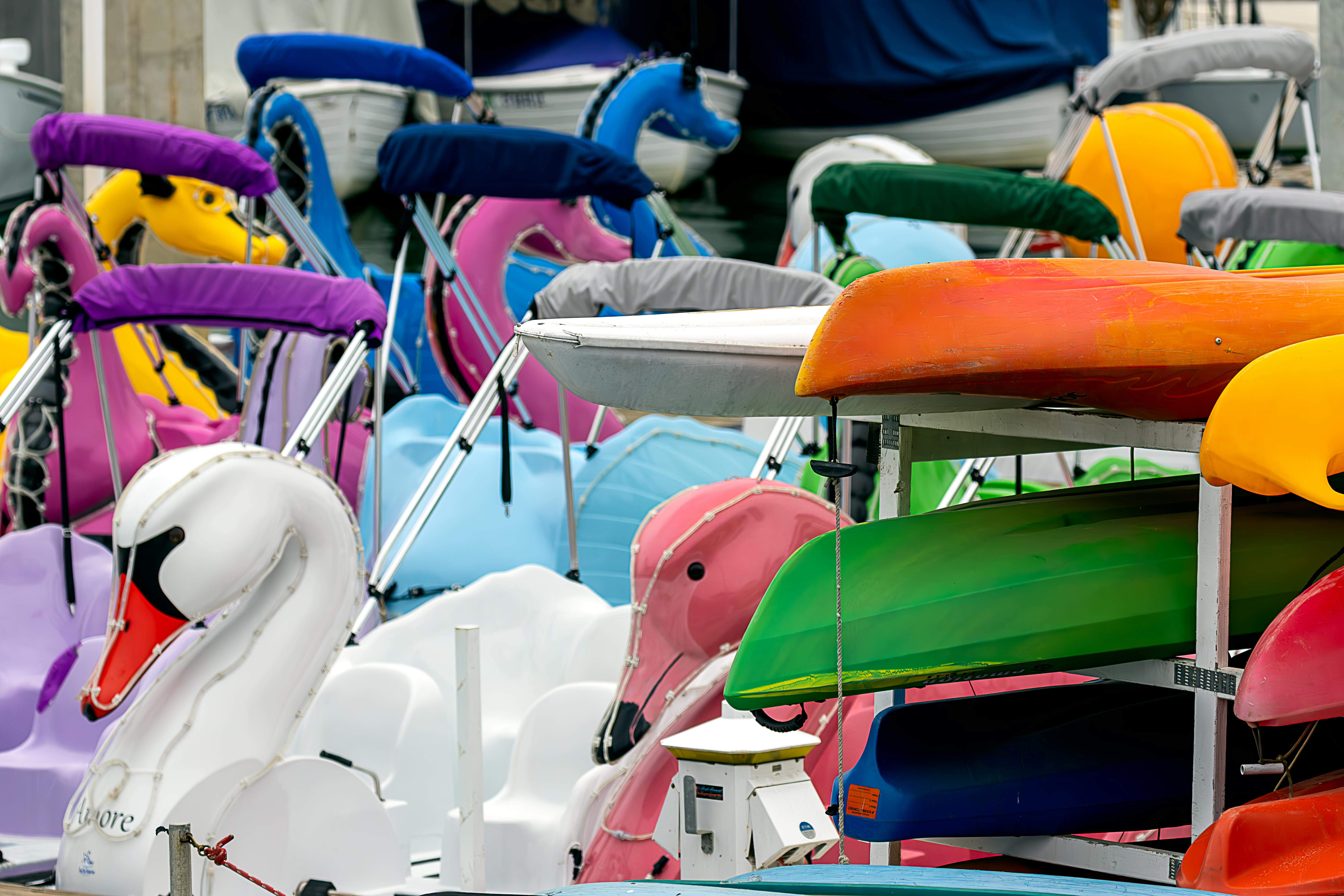 Plastic Boats in a Harbor · Free Stock Photo