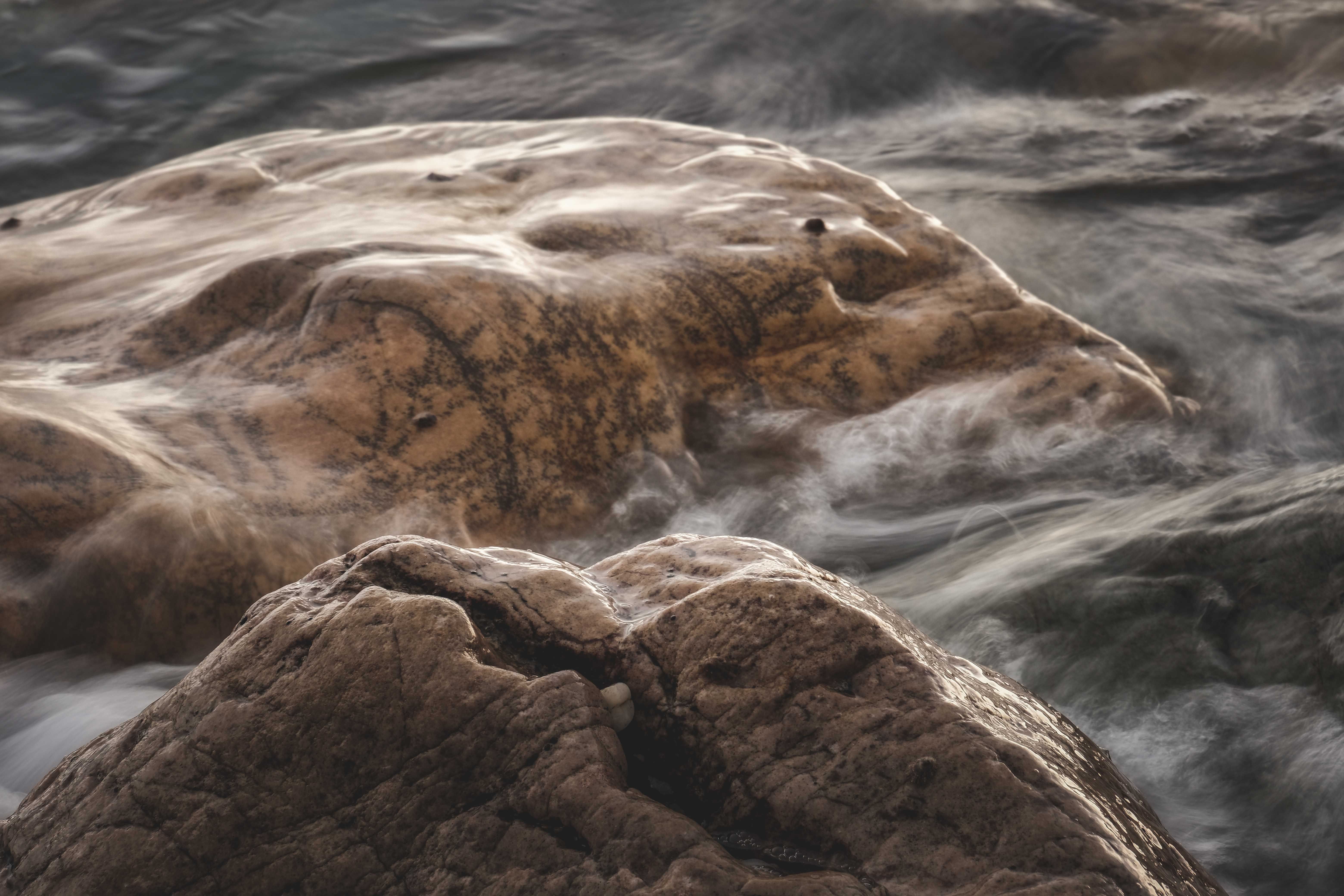 Fog Over the Rocks and Sea · Free Stock Photo