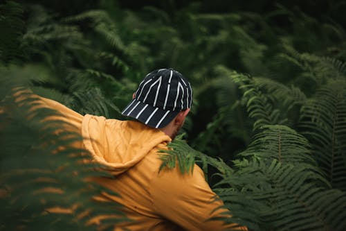 Man Walking Between Lush Vegetation 