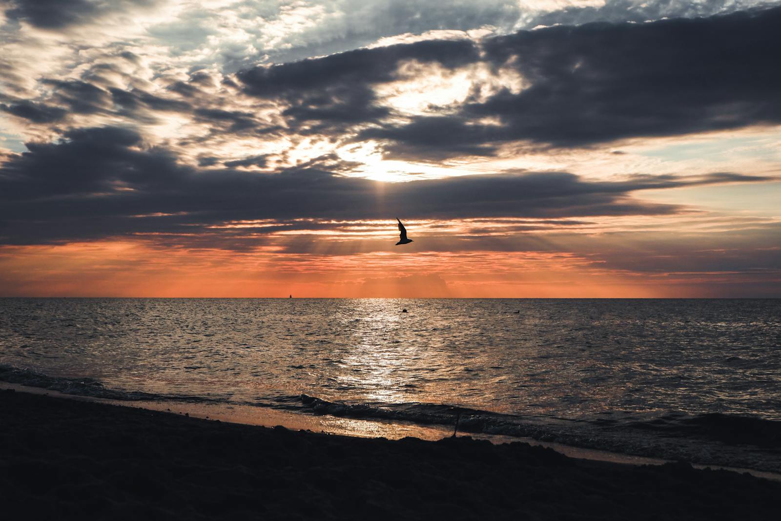 100k Wallpaper Of Sea Beach For Laptop Photos, Download The BEST Free