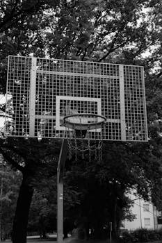 Monochromatic outdoor basketball hoop surrounded by trees, emphasizing sport simplicity.