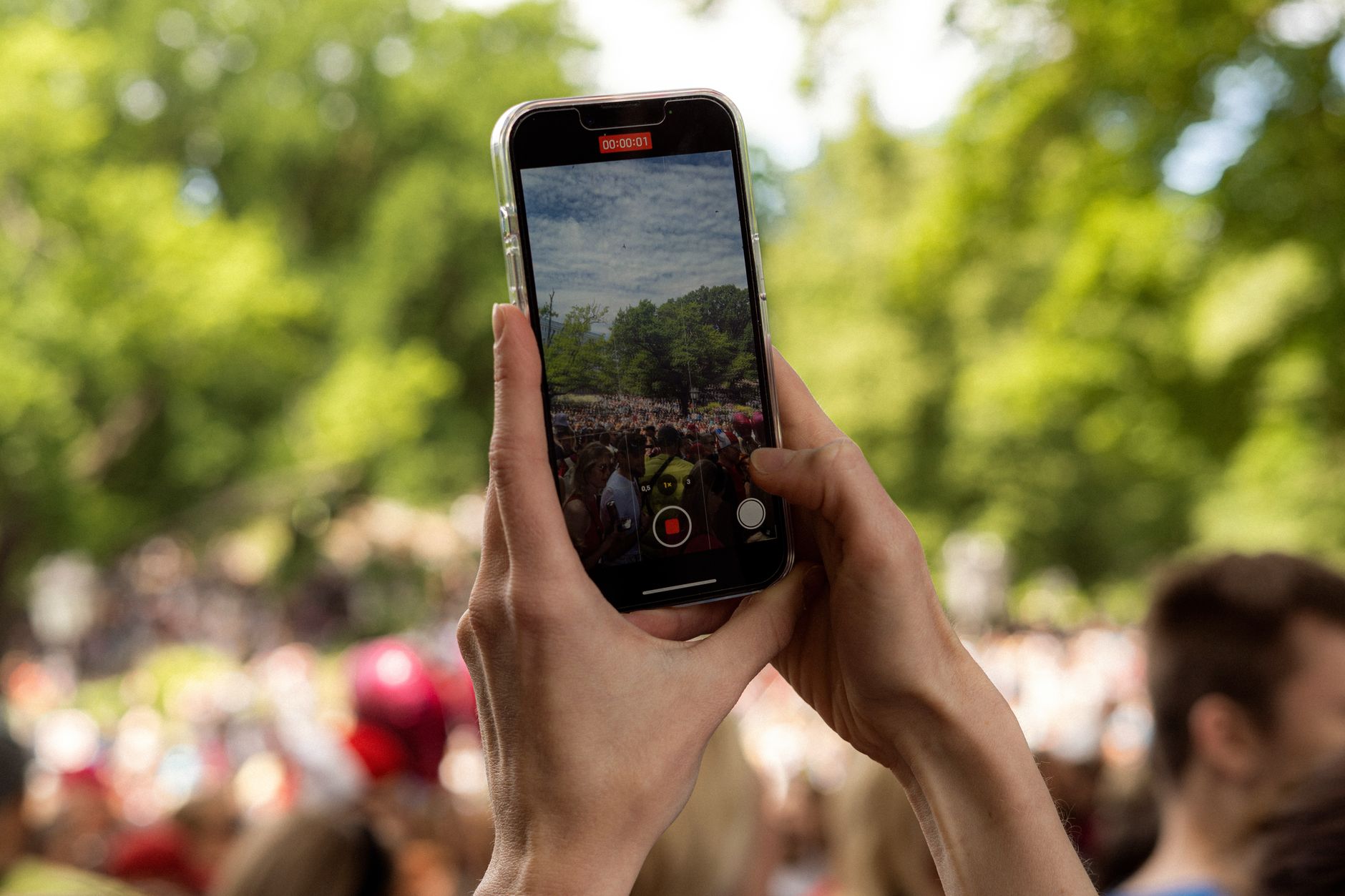 Hands holding a smartphone recording a vibrant outdoor event in a lush park.