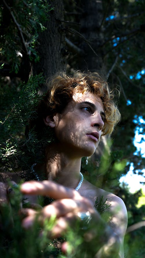 금발, 나뭇잎, 남자의 무료 스톡 사진