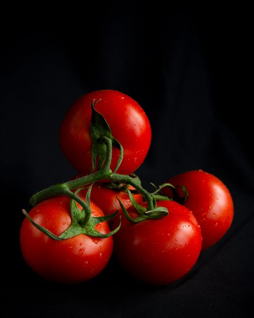 Free Close-up of fresh red tomatoes on the vine, perfect for still life photography. Stock Photo