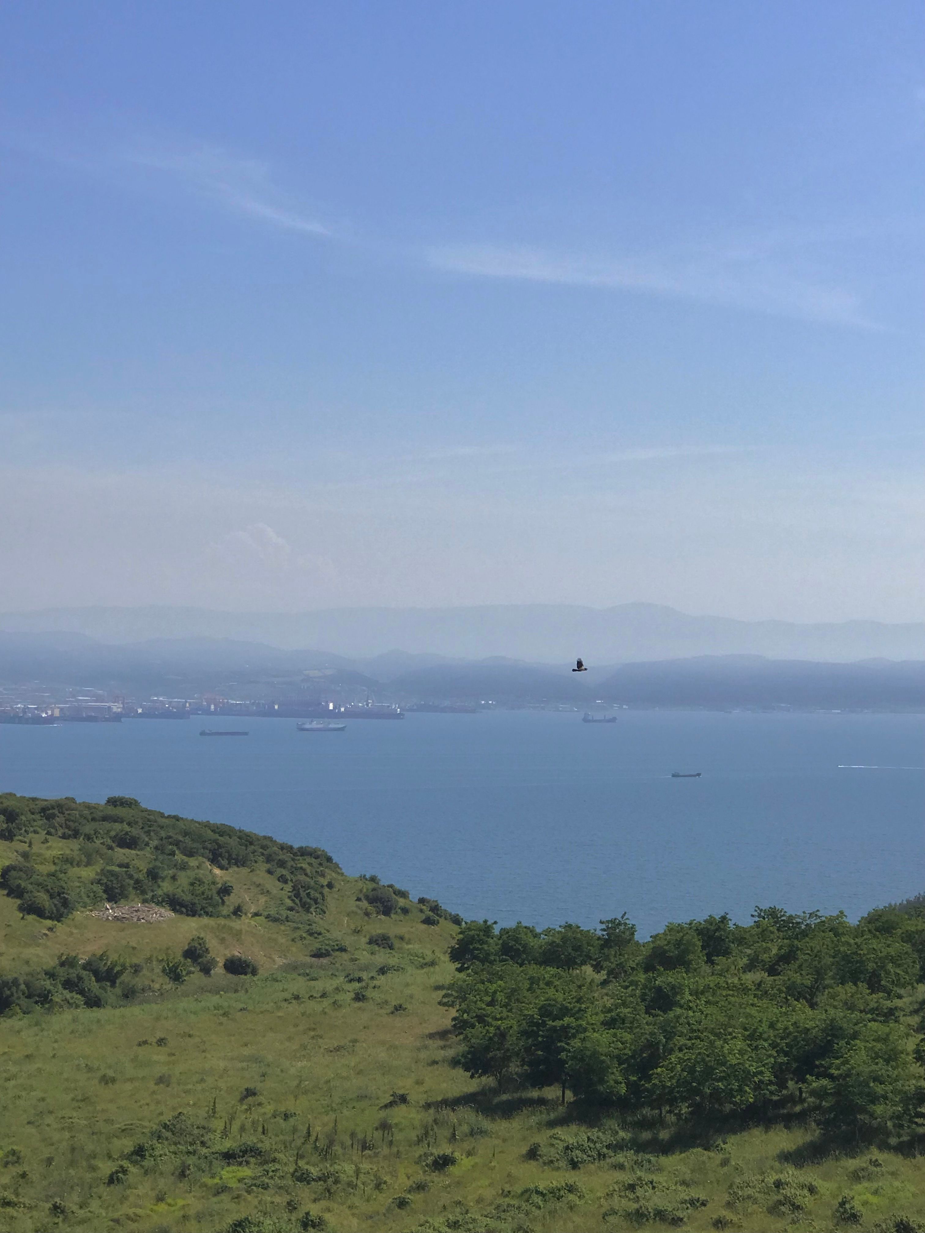 A tranquil coastal view featuring ships on the sea, lush greenery, and a clear blue sky.