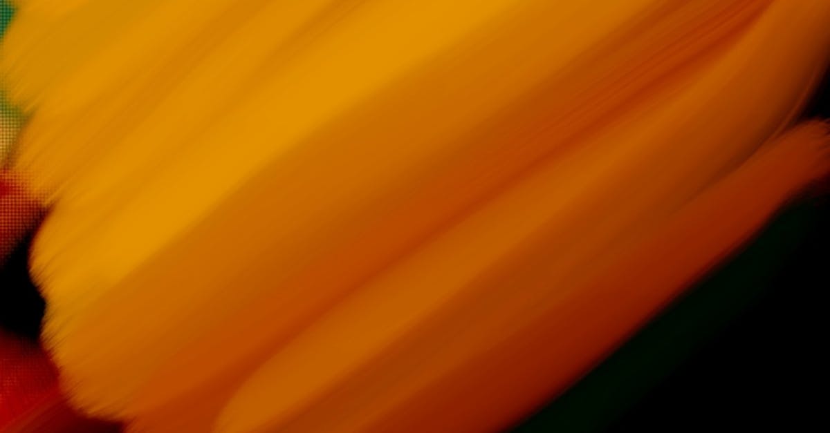 Orange Background アートの背景 オレンジブラックの無料の写真素材 Orange Background アートの背景 オレンジブラックの無料の写真素材