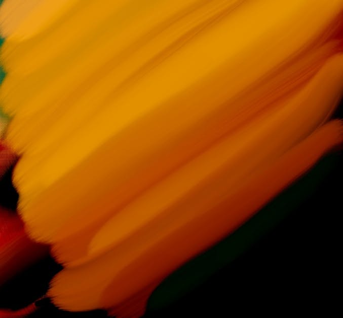 Orange Background アートの背景 オレンジブラックの無料の写真素材