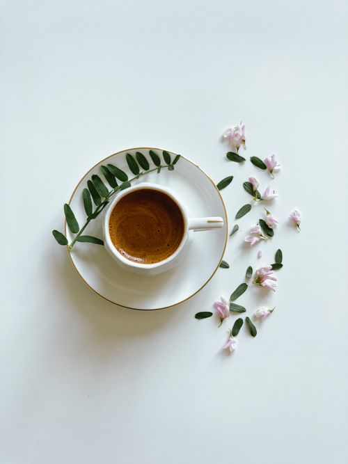 Free Elegant espresso in a white porcelain cup with leaves and pink flowers on a minimalist background. Stock Photo