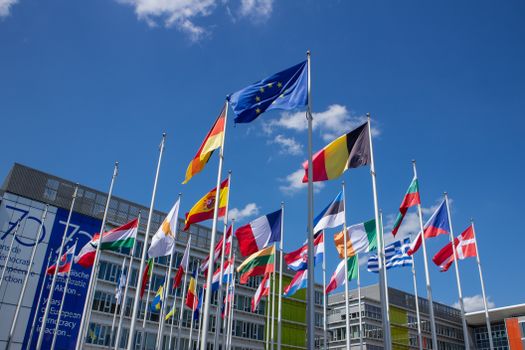 Low angle view of European Union flags on flagpoles against a blue sky, symbolizing unity.