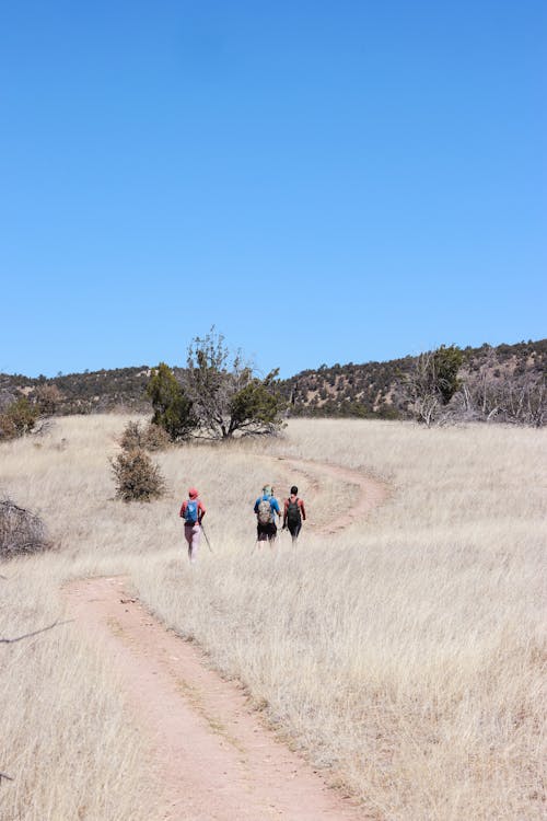 Hikers on Trail on Wasteland