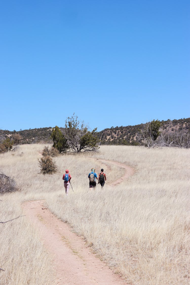 Hikers On Trail On Wasteland