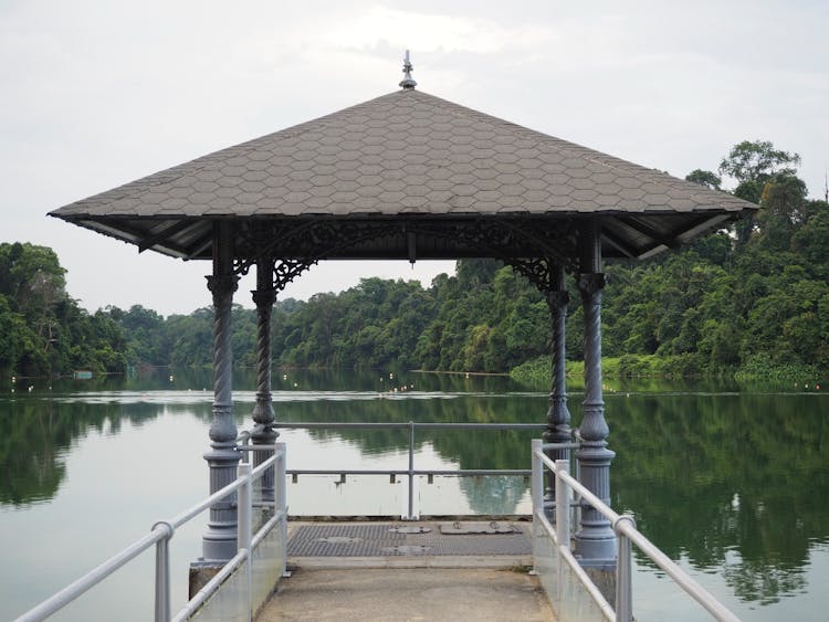 Pier At MacRitchie Reservoir In Singapore