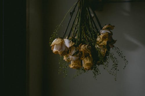 Foto stok gratis buket, bunga kering, dekorasi