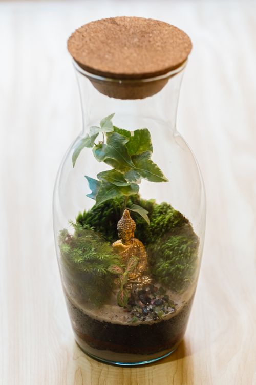 Free A serene terrarium featuring a Buddha statuette amidst lush green foliage in a glass jar. Stock Photo