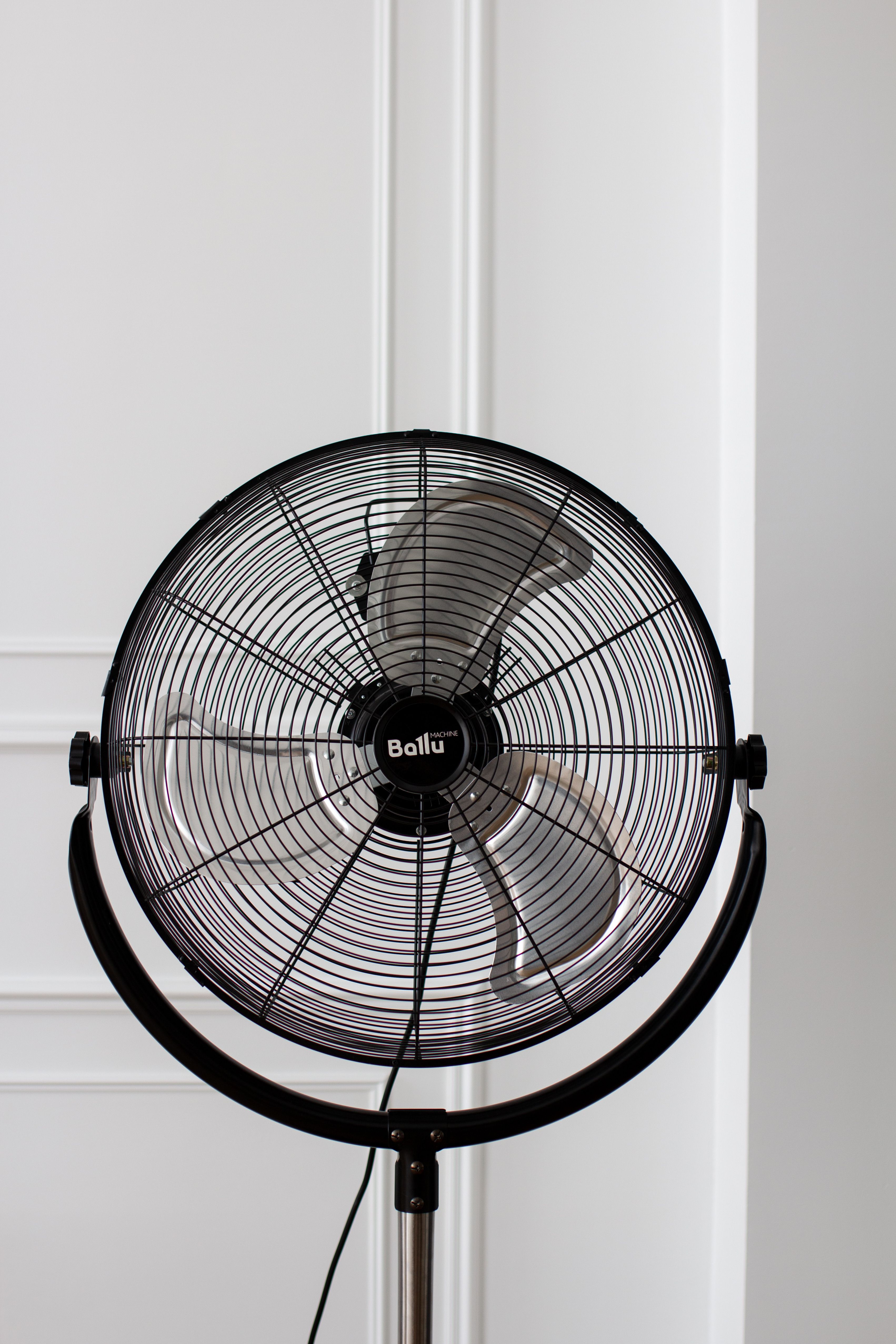 Close up of Fan · Free Stock Photo