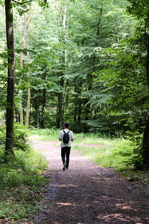 Free A man with a backpack walks through a lush green forest path, enjoying a peaceful hike. Stock Photo