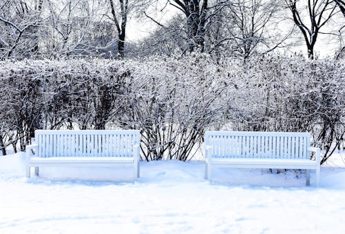 Free stock photo of Белые скамейки, деревянная скамья, зима