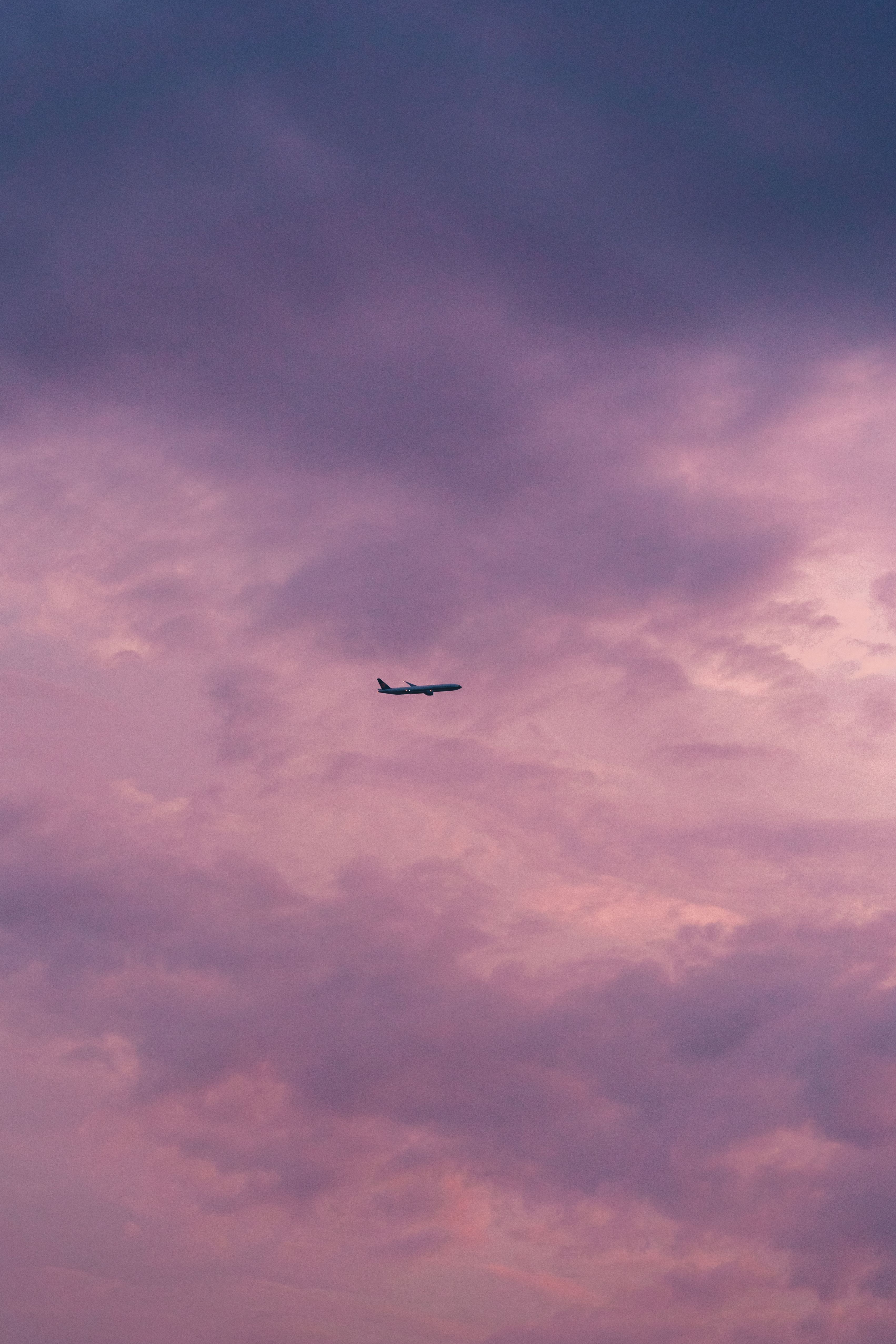 Flight