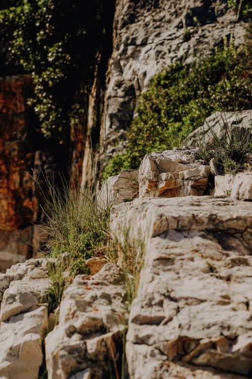 Free Close-up of a sunlit rocky surface adorned with green foliage and grass. Stock Photo