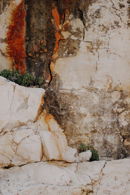 Free Textured rock surface with natural formations and plants growing amidst weathered stone cracks. Stock Photo