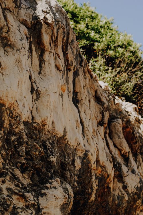 Free A detailed view of a rocky cliff with natural erosion patterns and green vegetation under bright sunlight. Stock Photo