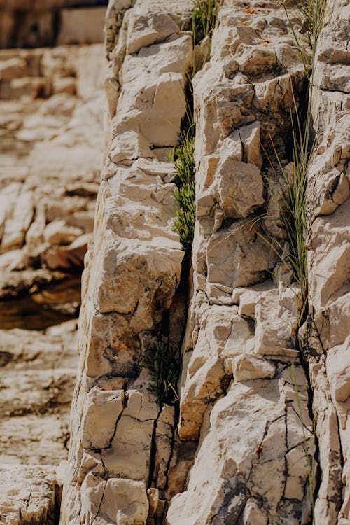 垂直拍攝, 岩石, 岩石形成 的 免費圖庫相片