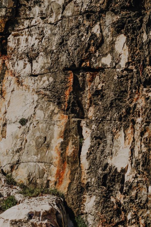 Free Close-up of a textured rock formation showcasing natural erosion patterns and earthy tones. Stock Photo
