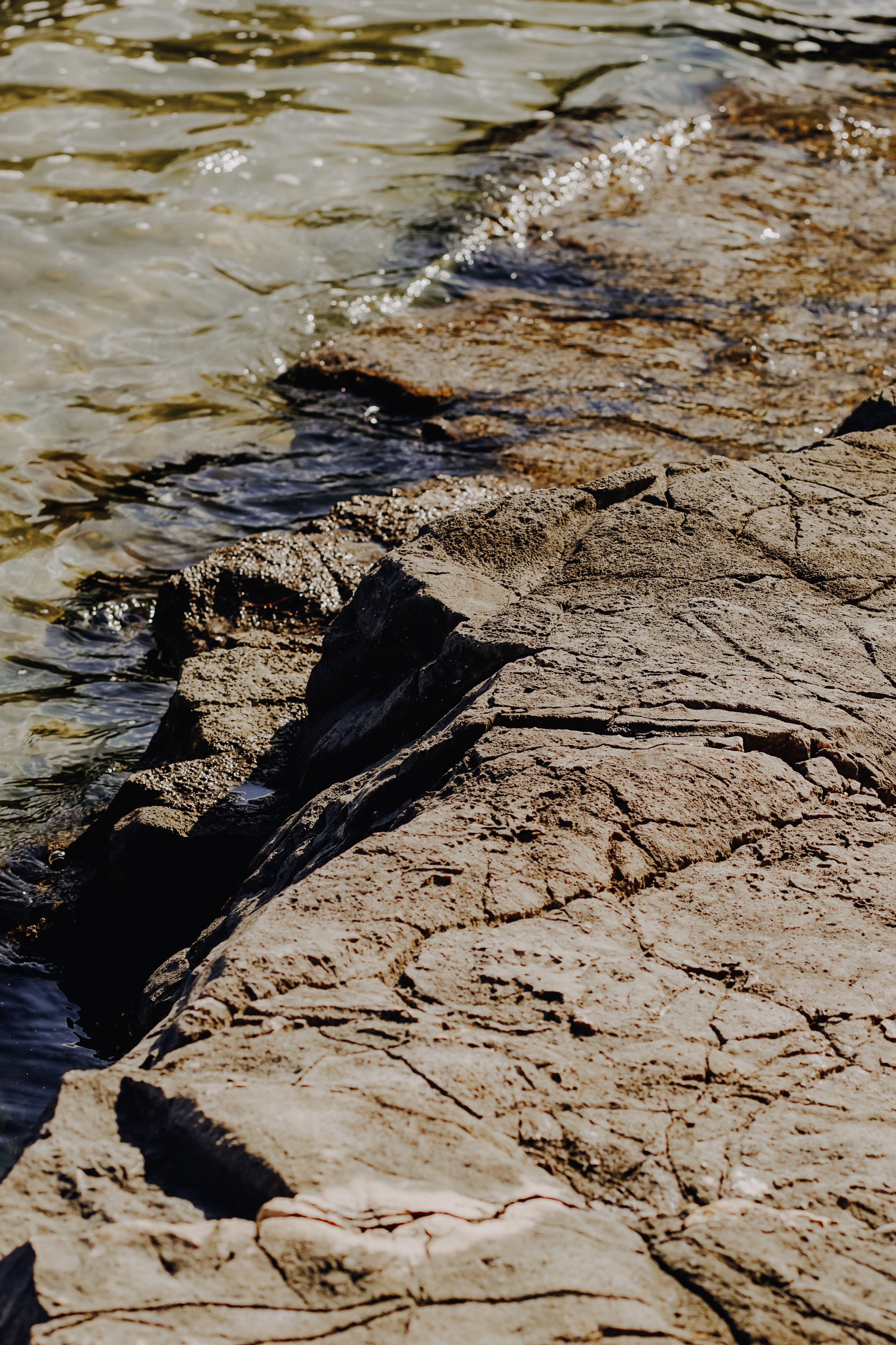 Brown Rocks on Beach · Free Stock Photo
