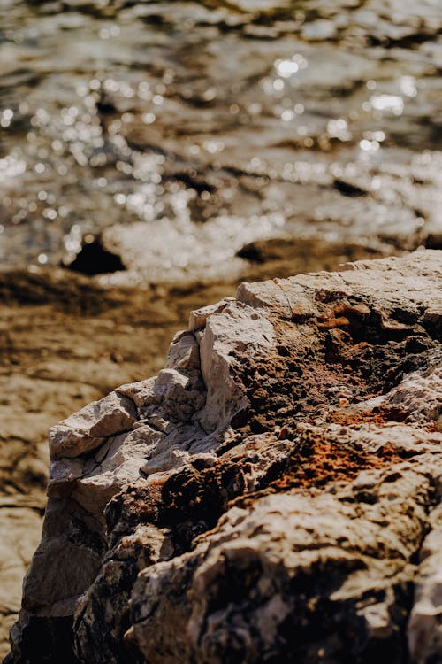 Close-up of a Rock on a Sea Coast 