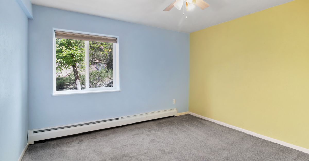 Bright, empty room with blue and yellow walls, carpet, and window view.
