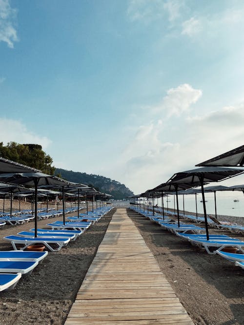 Rows of Sunloungers and Beach Umbrellas 
