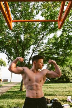 A shirtless man shows off his muscles while exercising outdoors in a lush park during summer.
