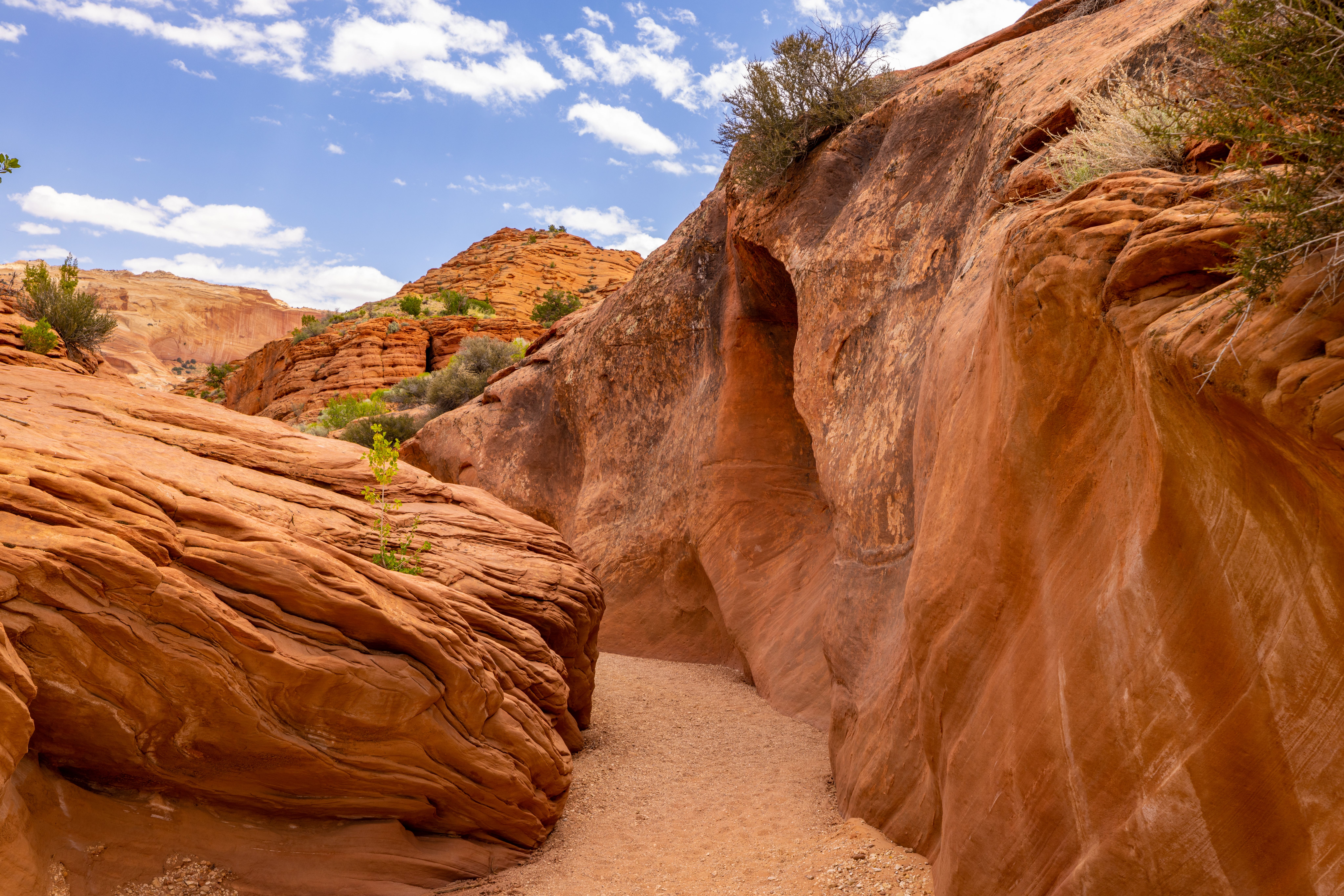 Best Family ATV Trails in Utah