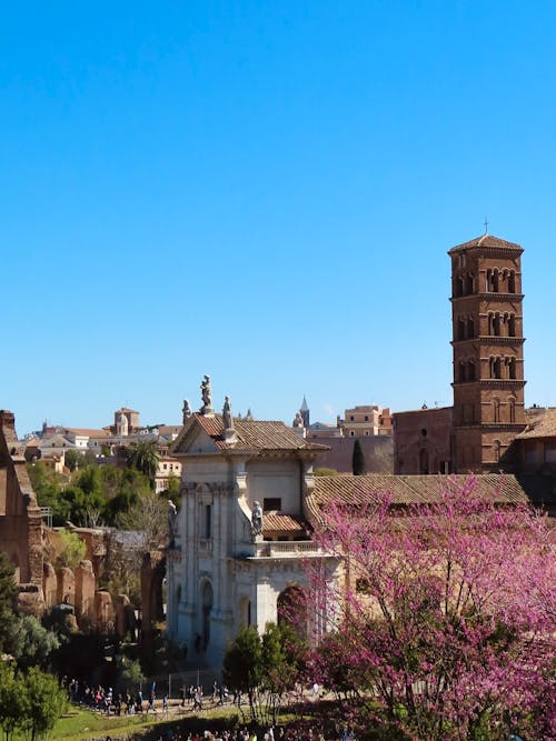 Romanesque Basilica of Santa Francesca Romana