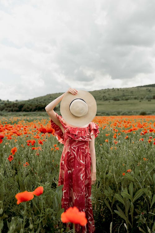 Woman Wearing a Red Dress Standing in a Poppy Field with Her Face Hidden behind a Summer Hat