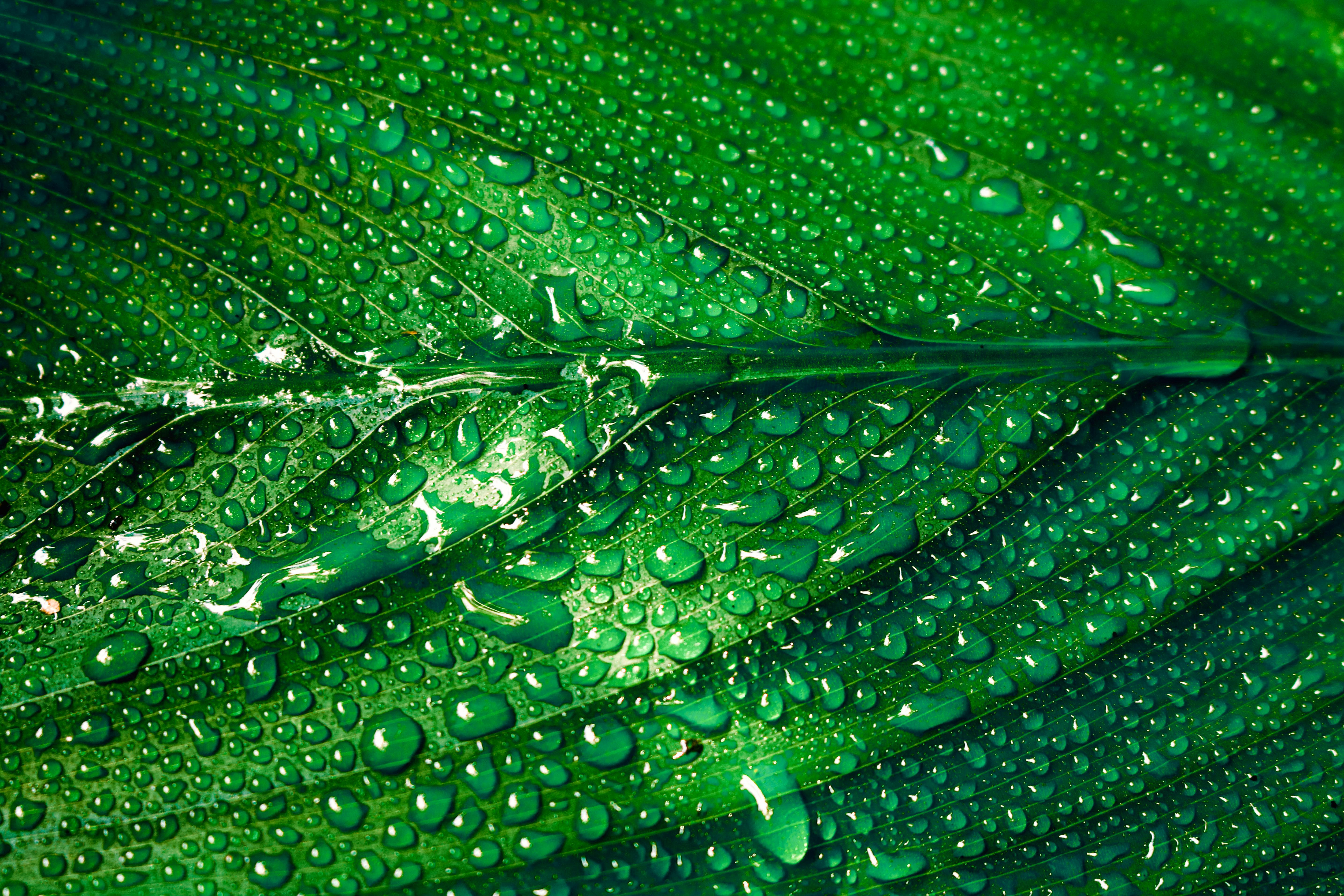 Download 300+ Wallpaper Android Embun Download 300+ Wallpaper Android Embun