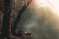 在宁静的早晨，雾气缭绕的森林里，湖边站着一个人，身边是一群鸭子