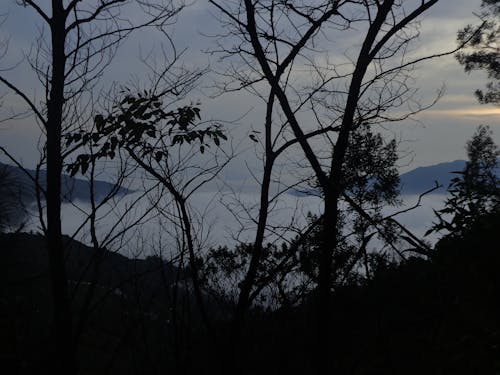 Free stock photo of dieng, hill, landscape