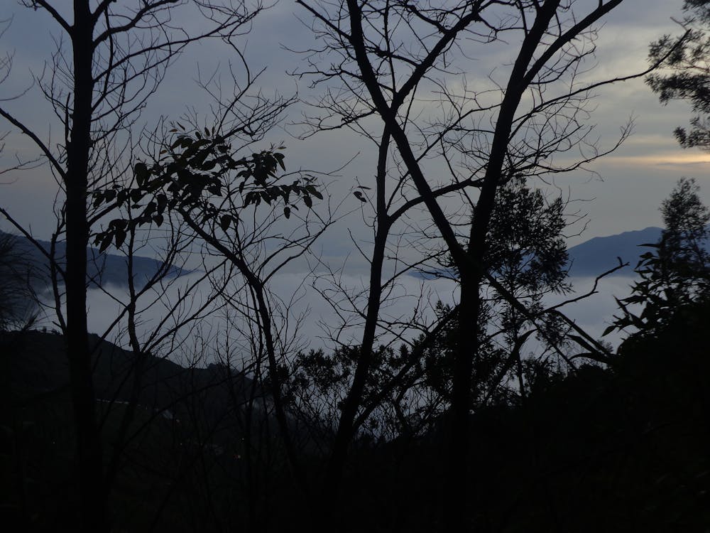 Free stock photo of dieng, hill, landscape