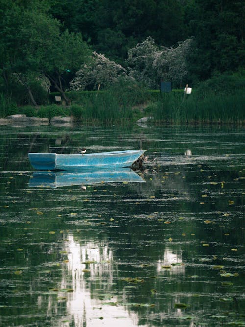 คลังภาพถ่ายฟรี ของ การท่องเที่ยว, การพักผ่อนหย่อนใจ, การสะท้อน