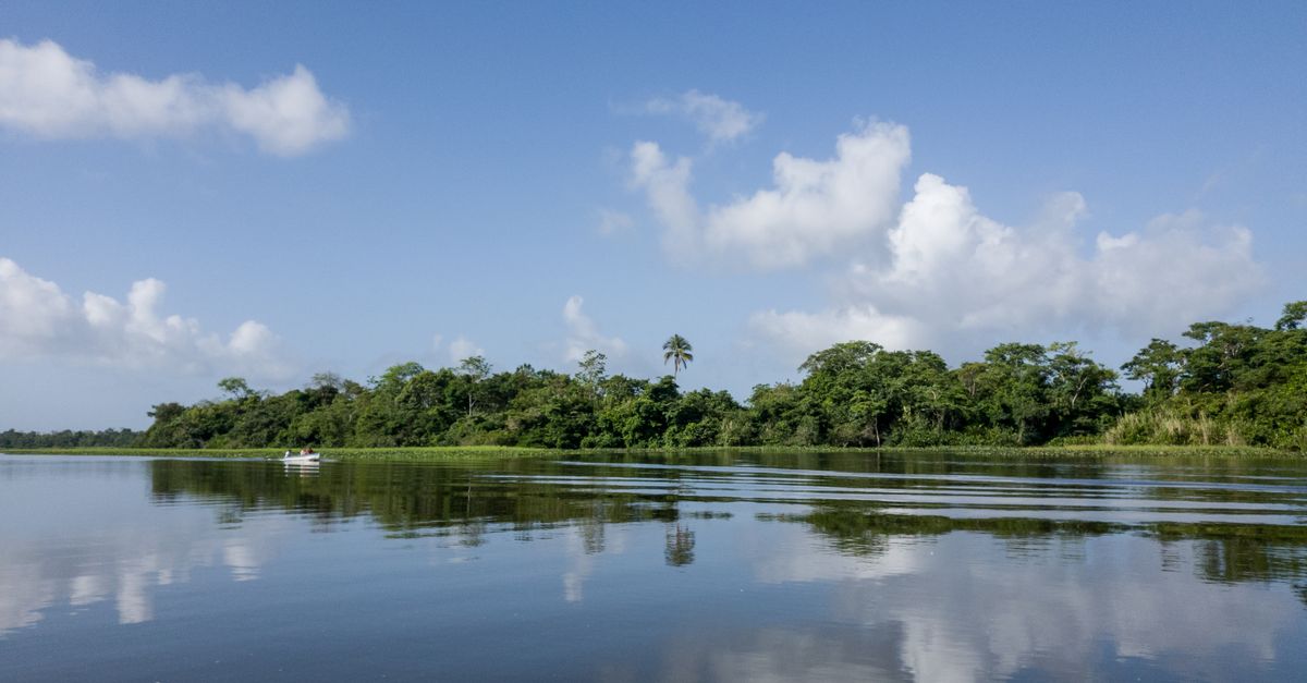 Photo of Suriname