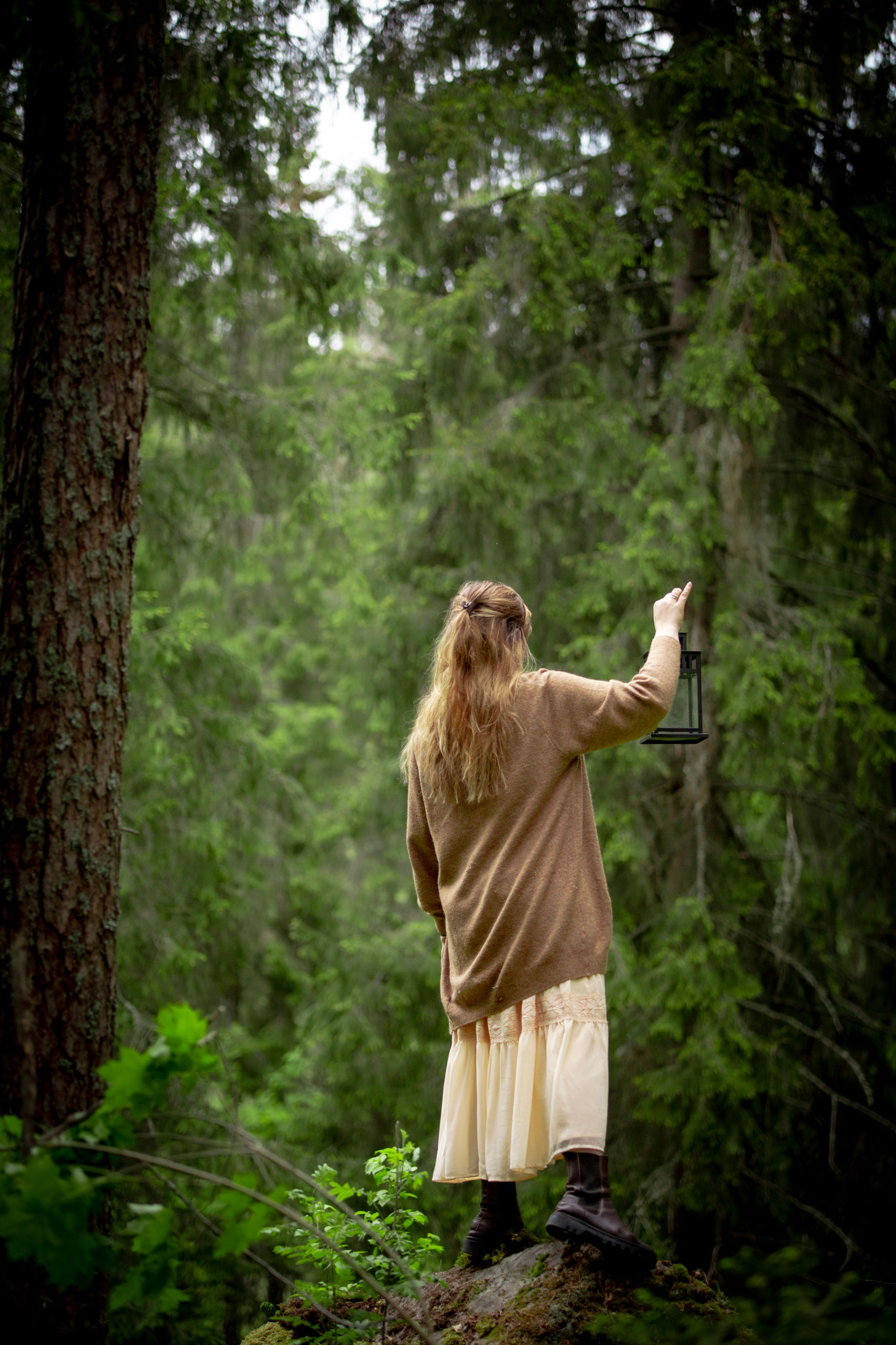 A woman holds a lantern in a lush green forest, creating a mysterious atmosphere.