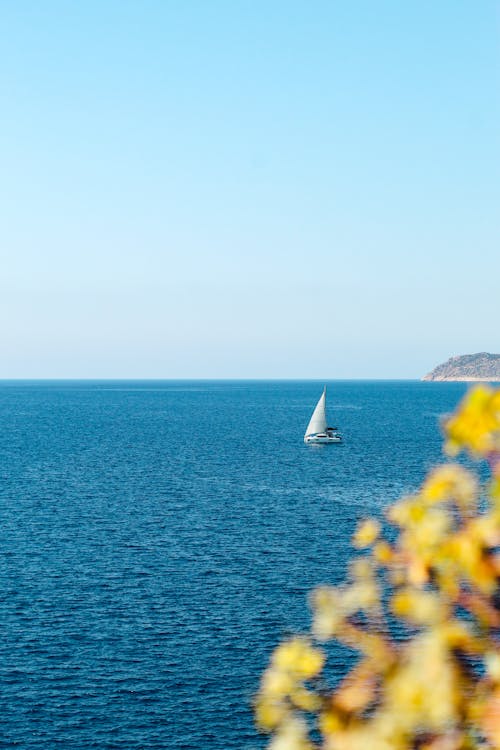 View of a Sailboat on the Sea 