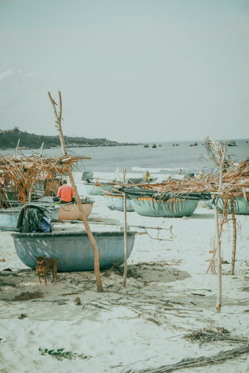 Boats with Dry Palm Leaves on the Beach 