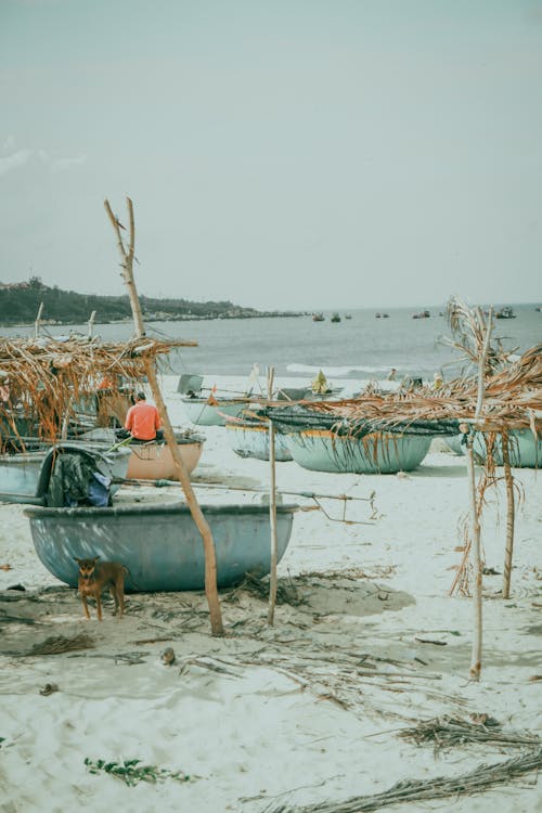 Foto d'estoc gratuïta de barques, Costa, embarcació d'aigua