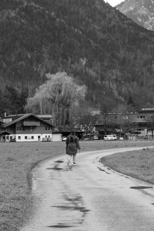 Immagine gratuita di alpi, bianco e nero, camminando
