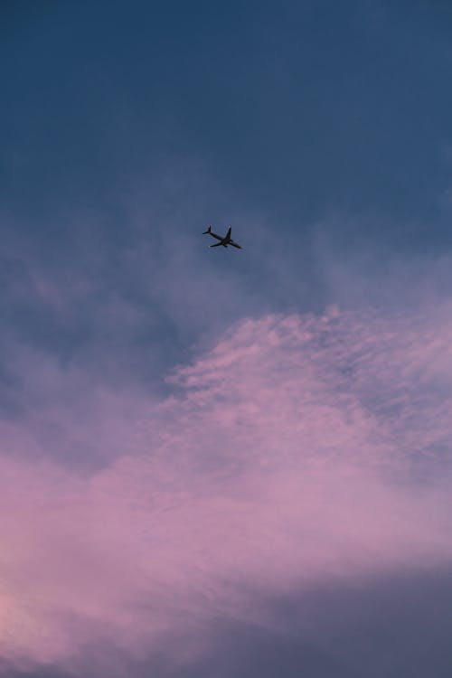 Photos gratuites de avion, ciel bleu, doux