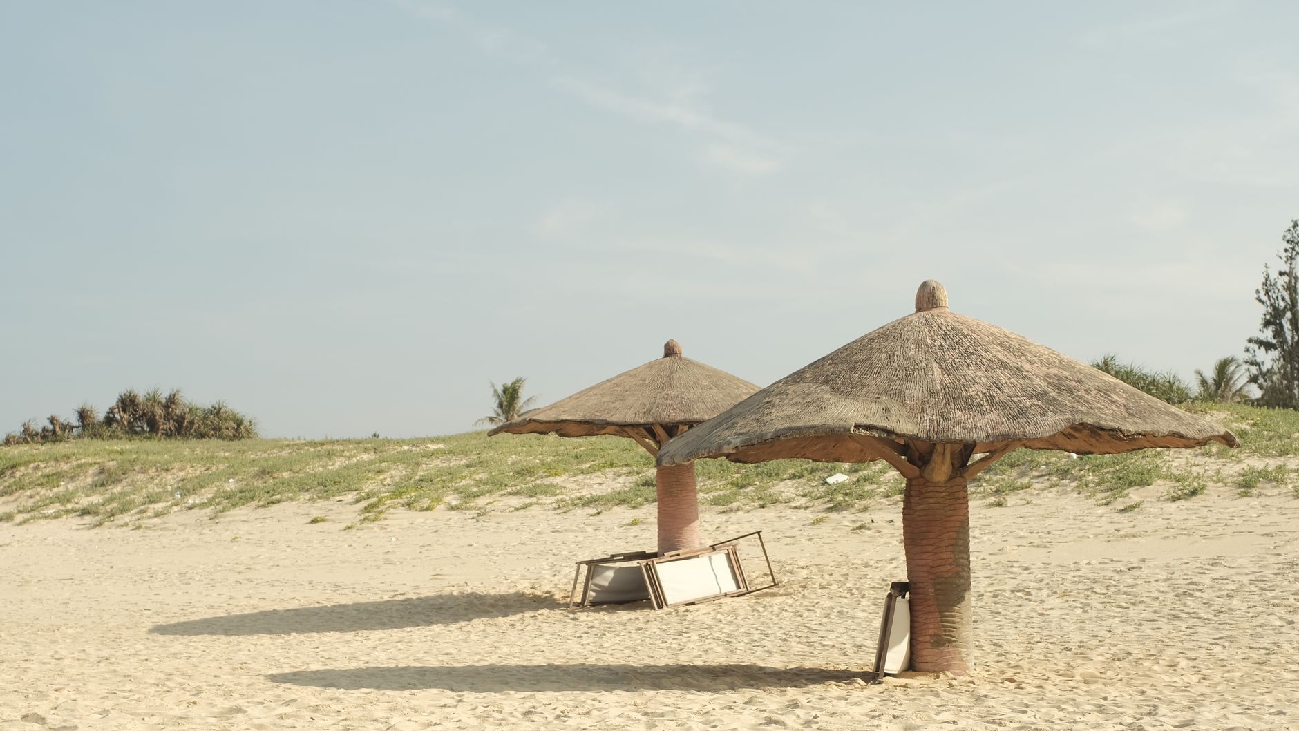 Empty beach with palms at Ibeju-Lekki east of Lagos